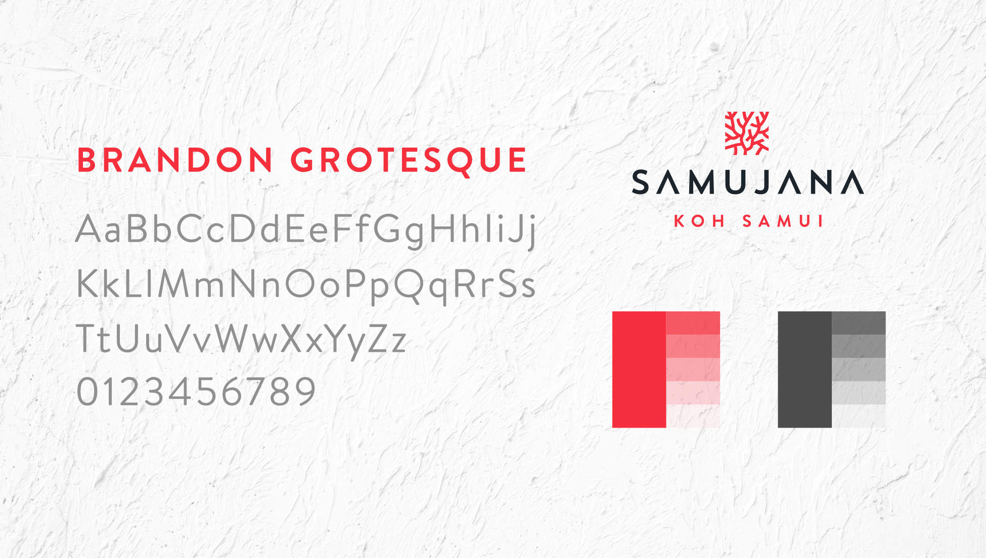 Samujana logo, colours and font